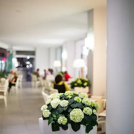 Hotel International 4*