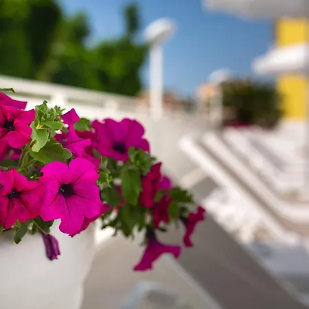 Hotel International 4*