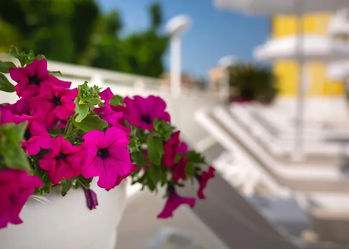 Hotel International 4*